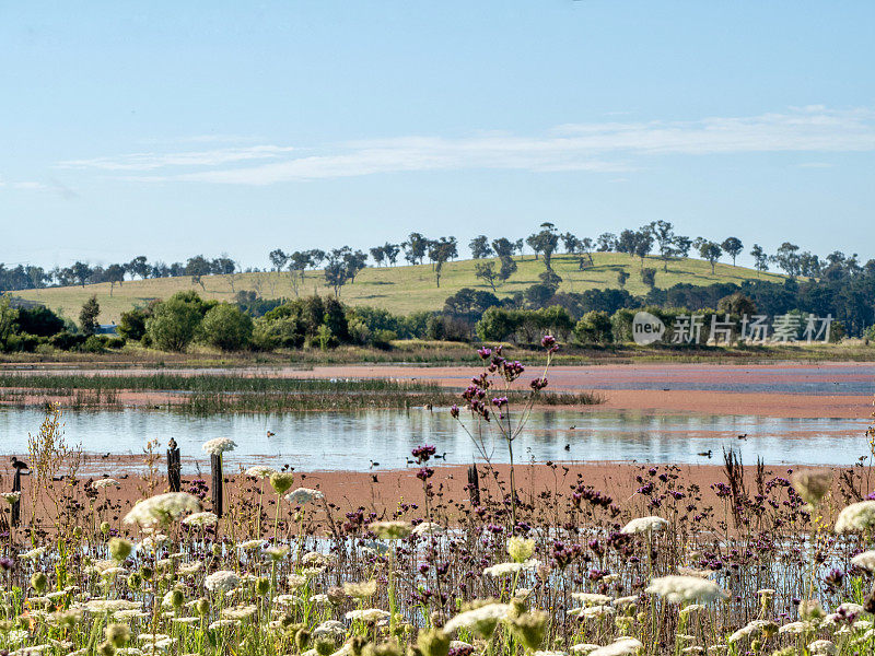 Dangar的泻湖景观- Uralla，新南威尔士州